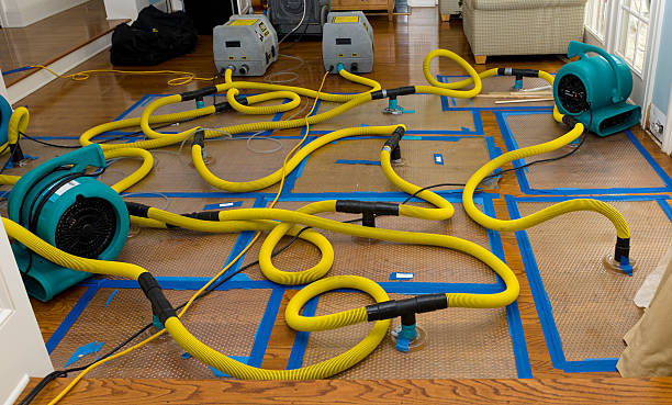 Professional Crawl Space Water Removal technician working in Matagorda, TX